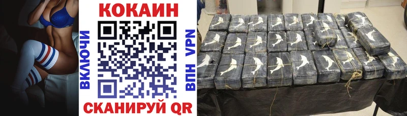 Купить  Гаврилов-Ям  COCAIN Fish Scale 