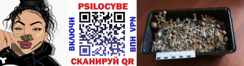 Галлюциногенные грибы ЛСД  Купить закладки  Гаврилов-Ям 
